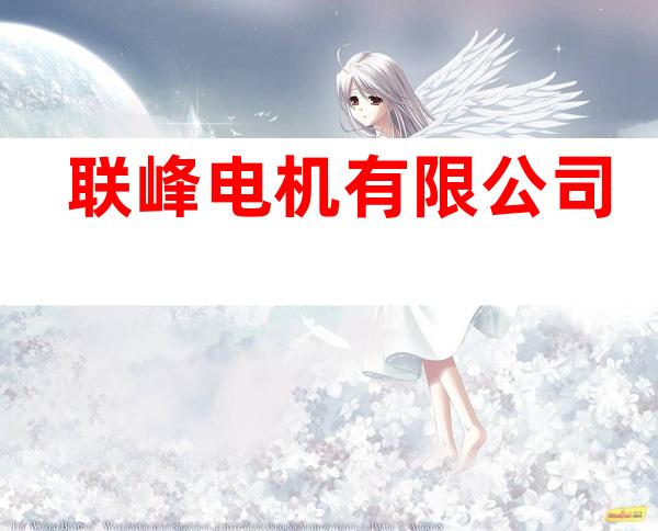 联峰电机有限公司